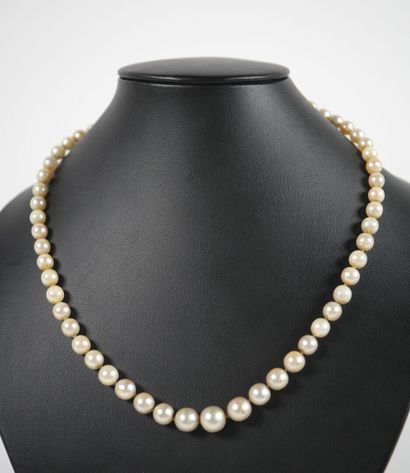 Necklace of tumbling pearls, the cylindrical...