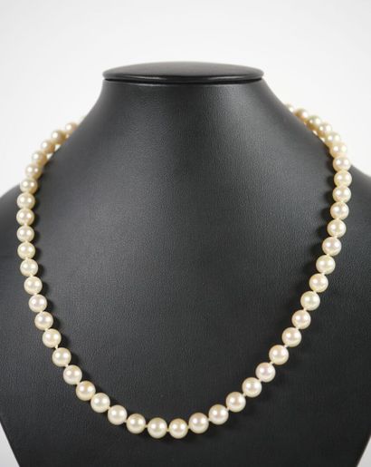 Necklace of shoker pearls, spherical clasp...
