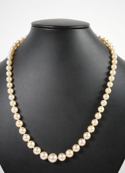 Necklace of falling pearls, the rectangular...