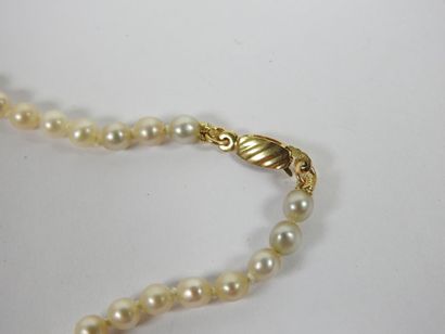 Necklace of choker pearls, clasp in 18K yellow...