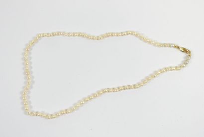 Necklace of choker pearls, clasp in 18K yellow...