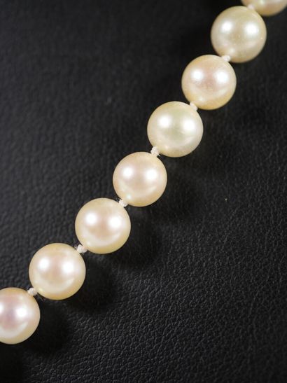 Necklace of shoker pearls, spherical clasp...