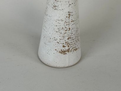 Bouteille ou vase en céramique sur fond blanc...
