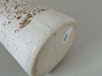 Bouteille ou vase en céramique sur fond blanc...
