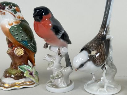 ROSENTHAL, F. HEINDENREICH - GOEBEL et divers.
Collection...
