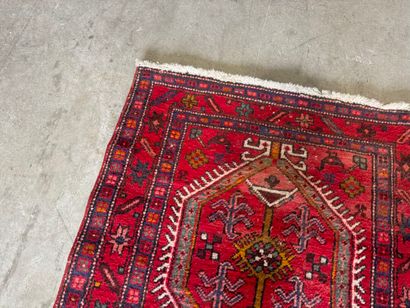 Large hand-knotted wool gallery decorated...