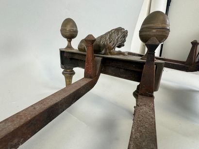 Pair of cast-iron and chased gilt bronze...