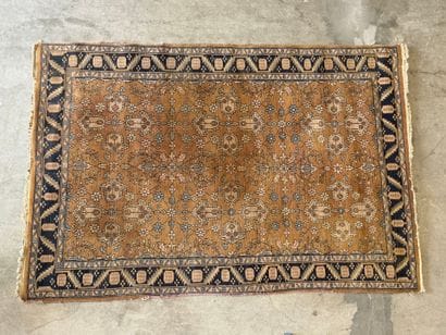 Hand-knotted wool rug decorated with foliage...