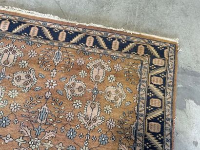 Hand-knotted wool rug decorated with foliage...