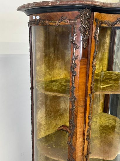 Curved display cabinet in wood and veneer...