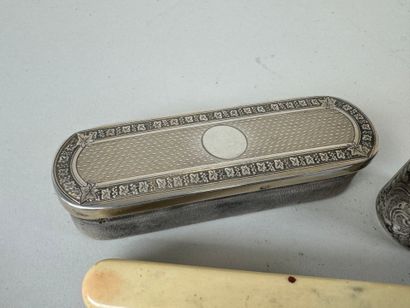 Petite brosse en ivoirine.
Présentée dans...