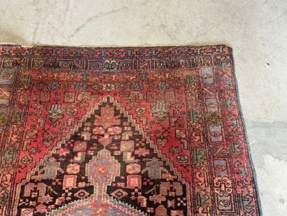 Hand-knotted wool rug with stylized motifs.
223...