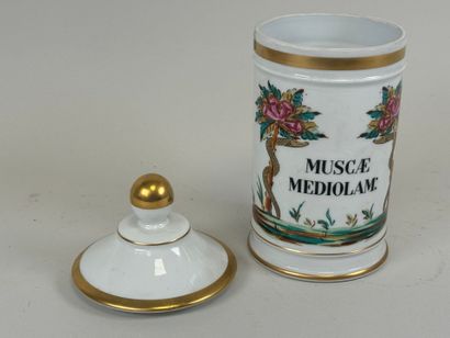 PILLVUYT.
Pot à pharmacie en porcelaine blanche...