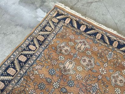 Hand-knotted wool rug decorated with foliage...