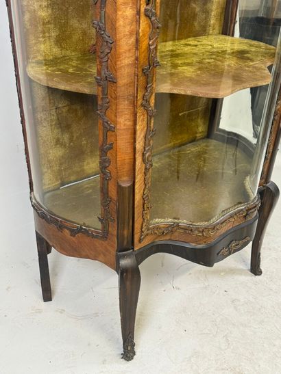 Curved display cabinet in wood and veneer...