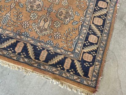 Hand-knotted wool rug decorated with foliage...