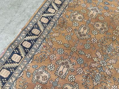 Hand-knotted wool rug decorated with foliage...