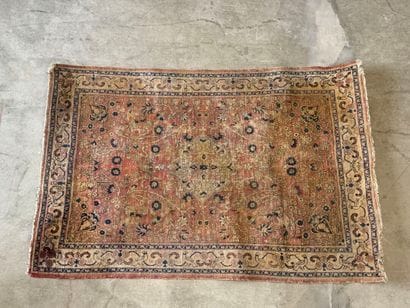 Hand-knotted wool rug decorated with foliate...