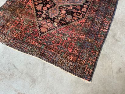 Hand-knotted wool rug with stylized motifs.
223...