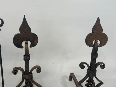 Important pair of cast-iron and metal andirons...