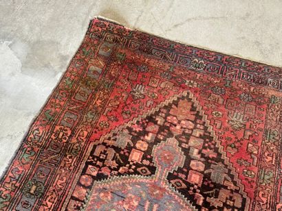 Hand-knotted wool rug with stylized motifs.
223...