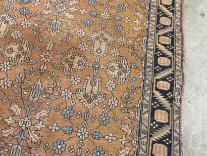 Hand-knotted wool rug decorated with foliage...