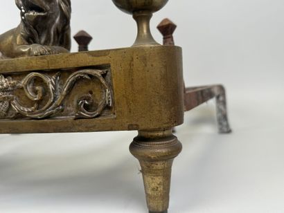 Pair of cast-iron and chased gilt bronze...