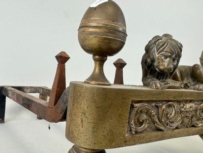 Pair of cast-iron and chased gilt bronze...
