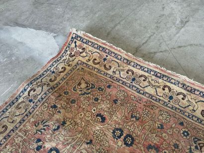 Hand-knotted wool rug decorated with foliate...