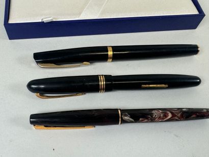 WATERMAN'S - BAYARD and others.
Three fountain...