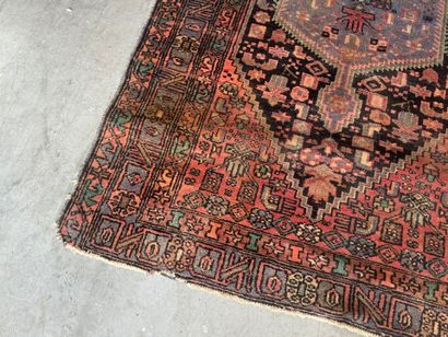 Hand-knotted wool rug with stylized motifs.
223...