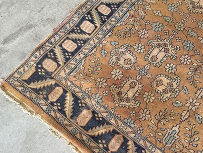 Hand-knotted wool rug decorated with foliage...