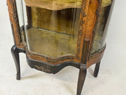 Curved display cabinet in wood and veneer...