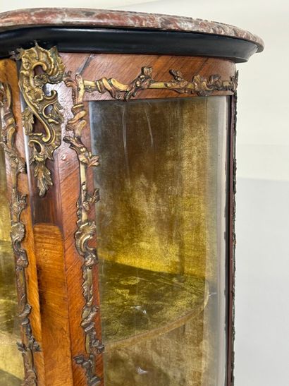 Curved display cabinet in wood and veneer...