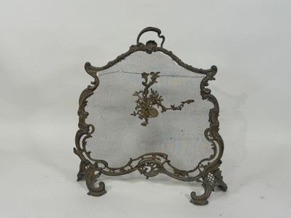 Fireback in patinated bronze with foliate...