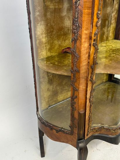 Curved display cabinet in wood and veneer...