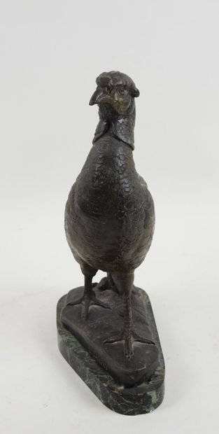 Louis Albert CARVIN (1875-1941), d'après.
Faisan.
Sujet...
