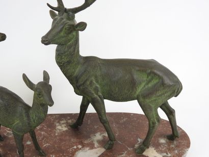 M. LEDUCQ (1879-1955).
Cerf, biche et faon.
Groupe...