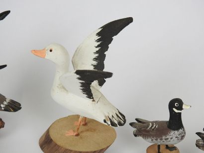 Lionel TREMPBAY (XXe).
Ensemble de 5 canards...