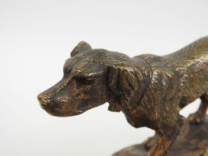 D. MOTTE (XXe).
Chien à l'arrêt.
Sujet en...