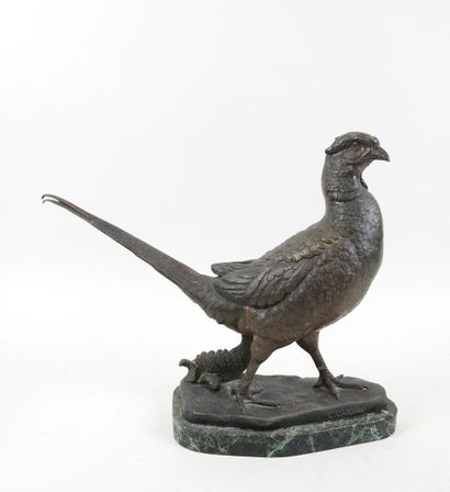 Louis Albert CARVIN (1875-1941), d'après.
Faisan.
Sujet...