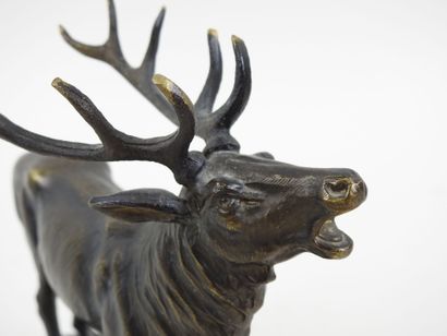 École du XXe.
Cerf bramant.
Sujet en régule...