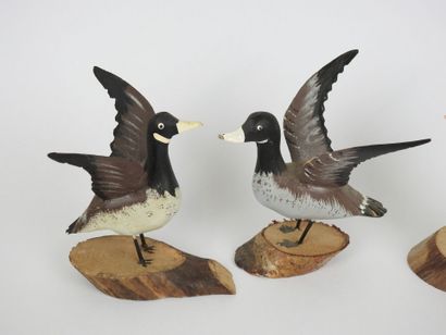 Lionel TREMPBAY (XXe).
Ensemble de 5 canards...