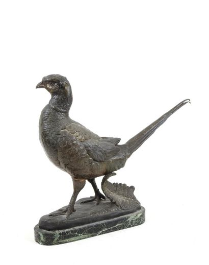 Louis Albert CARVIN (1875-1941), d'après.
Faisan.
Sujet...