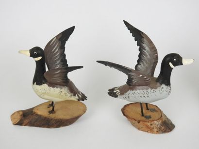 Lionel TREMPBAY (XXe).
Ensemble de 5 canards...