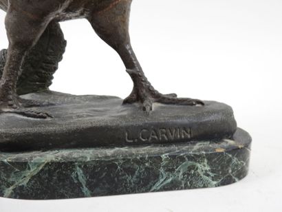 Louis Albert CARVIN (1875-1941), d'après.
Faisan.
Sujet...