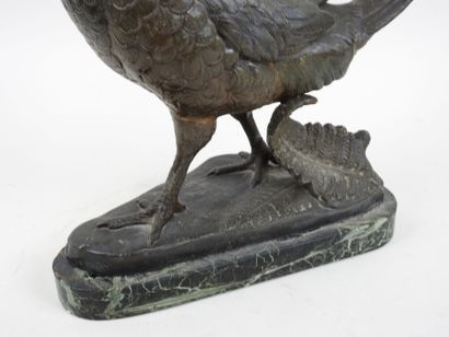 Louis Albert CARVIN (1875-1941), d'après.
Faisan.
Sujet...