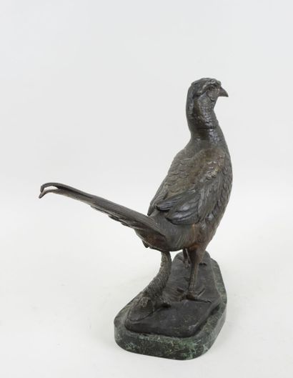 Louis Albert CARVIN (1875-1941), d'après.
Faisan.
Sujet...