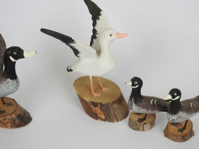 Lionel TREMPBAY (XXe).
Ensemble de 5 canards...