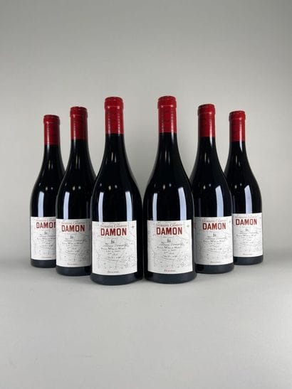 COTES DU RHONE. Domaine Charvin. Damon. 2022....